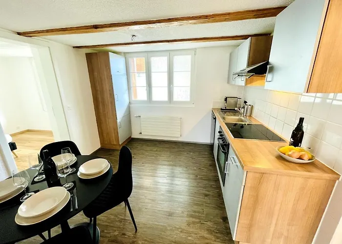 -theurbanist- 2 Bd Free Parking Fast Wifi Unterseen