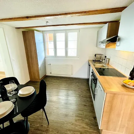 -theurbanist- 2 Bd Free Parking Fast Wifi Unterseen